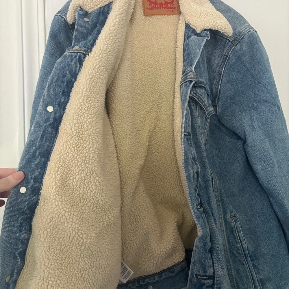 Levis cozy cream